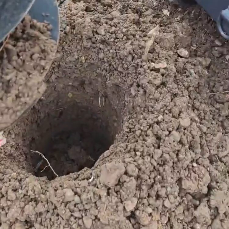 Mini chargeuse compacte